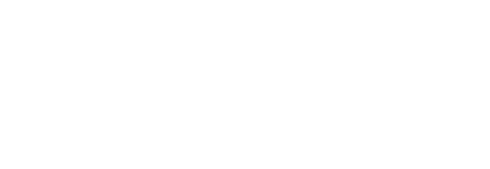 mobilifiver.com